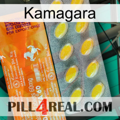 Kamagara new05